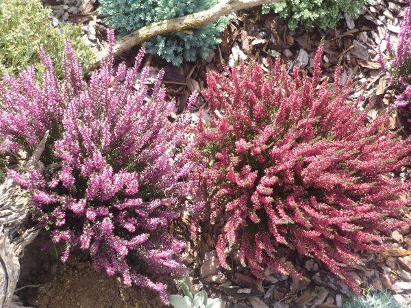 codziennie piękniejsze:), zdjęcie 9