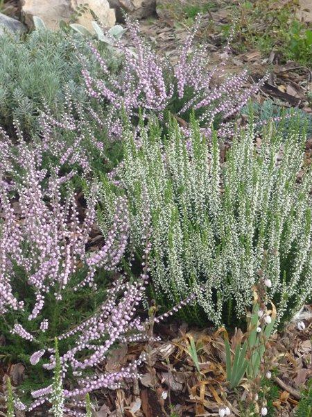 codziennie piękniejsze:), zdjęcie 10