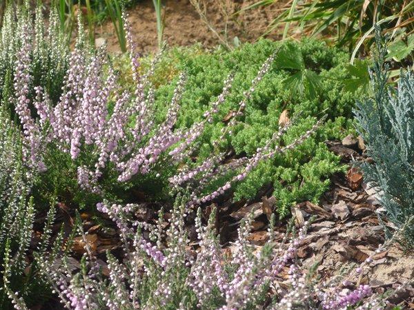 codziennie piękniejsze:), zdjęcie 6