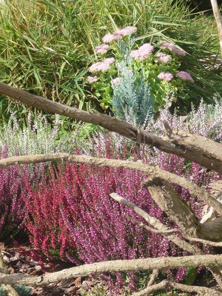 codziennie piękniejsze:), zdjęcie 1