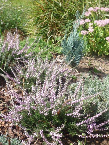 codziennie piękniejsze:), zdjęcie 14