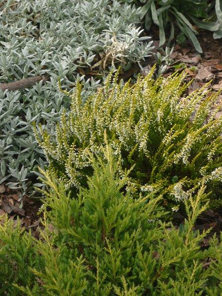 codziennie piękniejsze:), zdjęcie 13