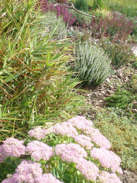 codziennie piękniejsze:), zdjęcie 4