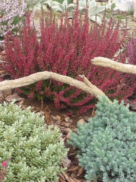 codziennie piękniejsze:), zdjęcie 11