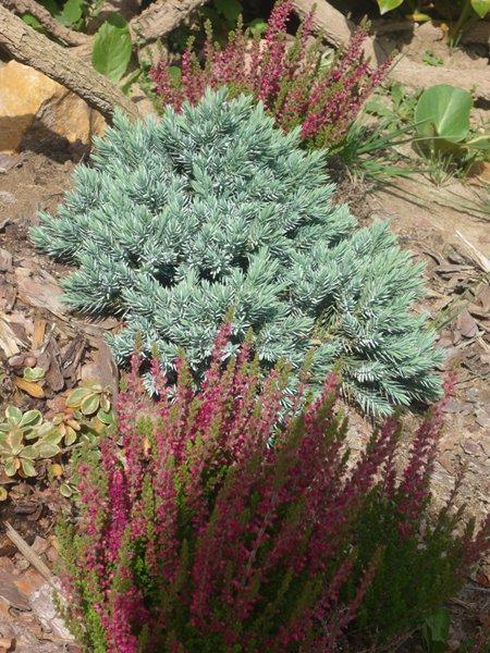 codziennie piękniejsze:), zdjęcie 12