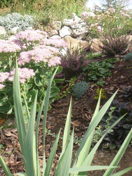 codziennie piękniejsze:), zdjęcie 5