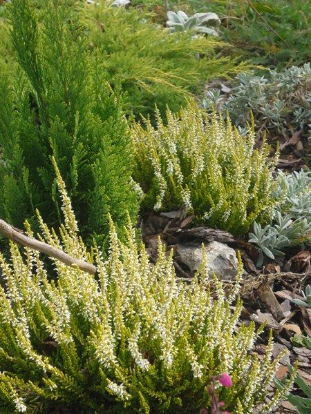 codziennie piękniejsze:), zdjęcie 7