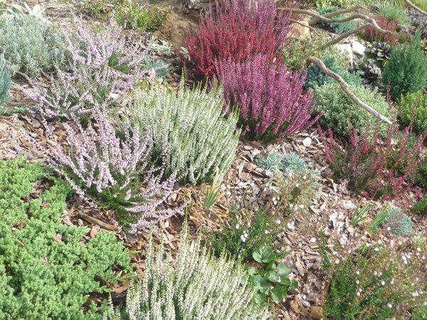 codziennie piękniejsze:), zdjęcie 3