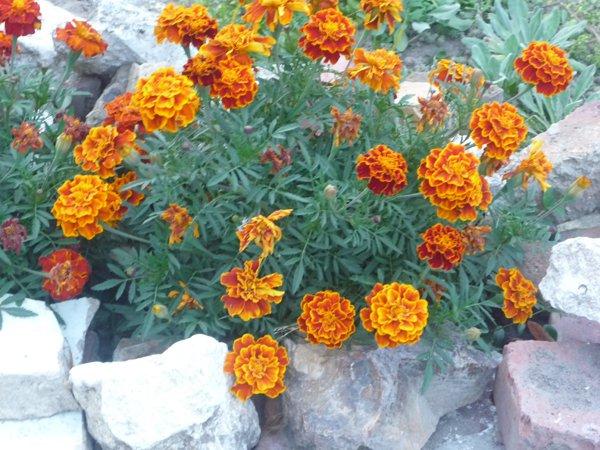 jeszcze troszkę jesieni, zdjęcie 12