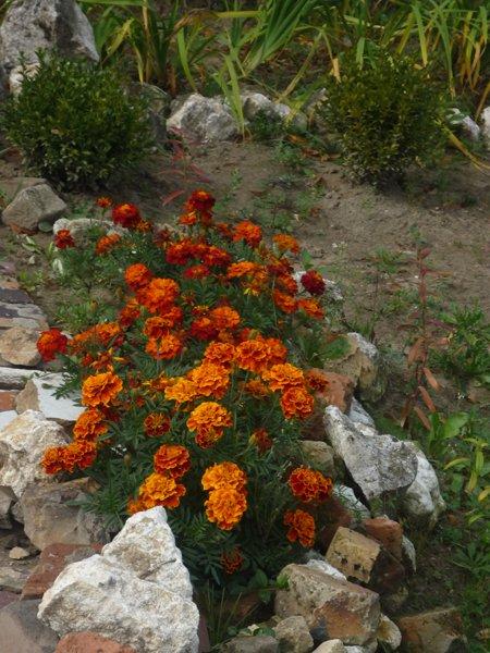 jeszcze troszkę jesieni, zdjęcie 7