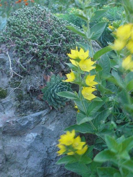 jeszcze troszkę jesieni, zdjęcie 3