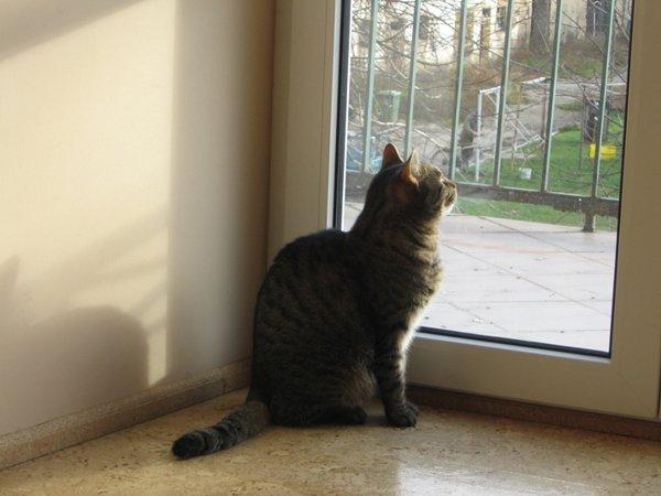 Marceliński, zdjęcie 2