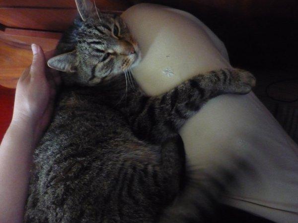 Marceliński, zdjęcie 5