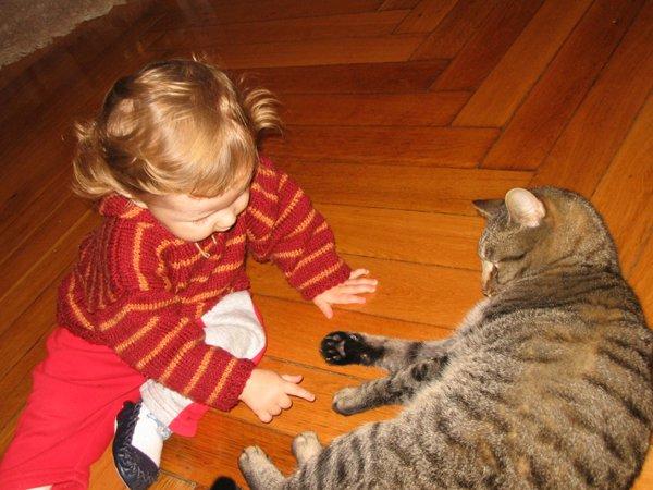 Marceliński, zdjęcie 10