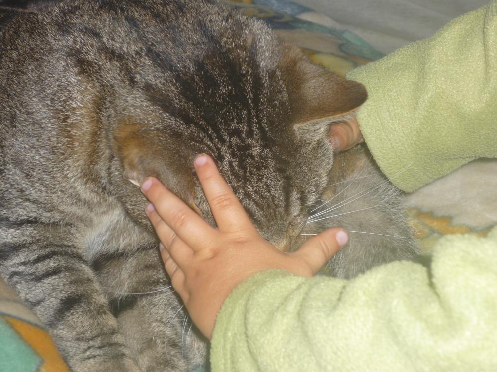 Marceliński, zdjęcie 1