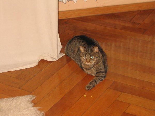 Marceliński, zdjęcie 7