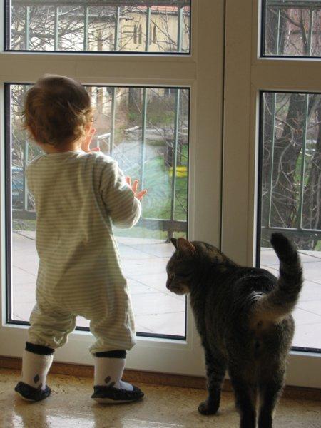 Marceliński, zdjęcie 4