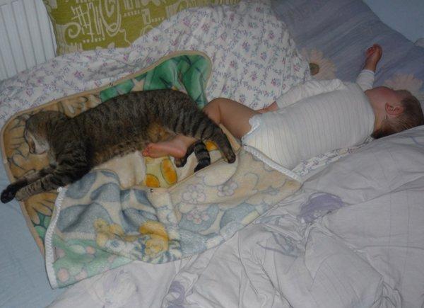 Marceliński, zdjęcie 8