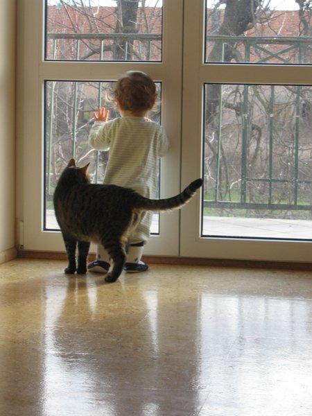 Marceliński, zdjęcie 3