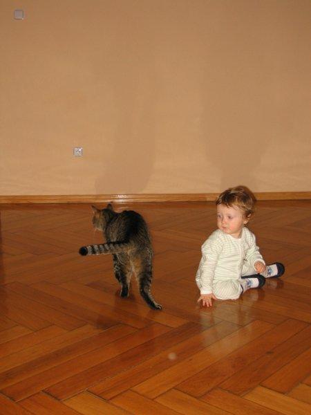 Marceliński, zdjęcie 13