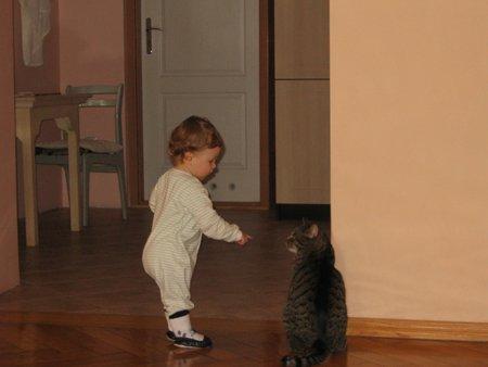 Marceliński, zdjęcie 11