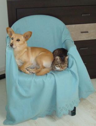 Mój zwierzyniec, zdjęcie 18