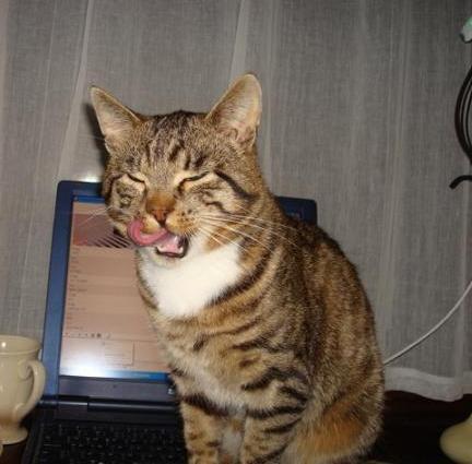 Mój zwierzyniec, zdjęcie 15