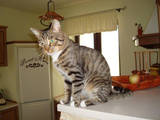 Mój zwierzyniec, zdjęcie 7