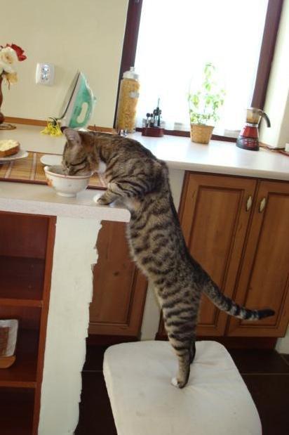 Mój zwierzyniec, zdjęcie 8