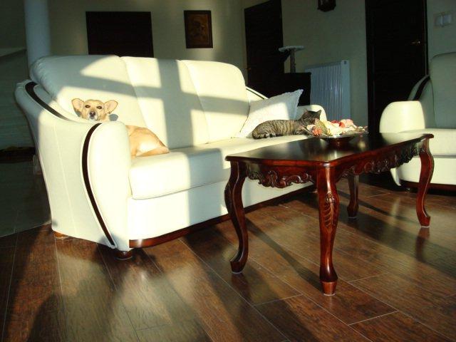 Mój zwierzyniec, zdjęcie 12