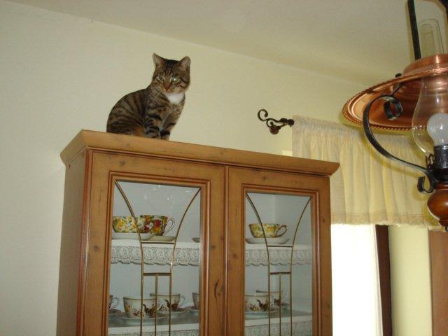 Mój zwierzyniec, zdjęcie 17