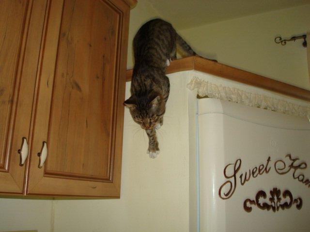 Mój zwierzyniec, zdjęcie 9