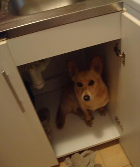 Mój zwierzyniec, zdjęcie 19