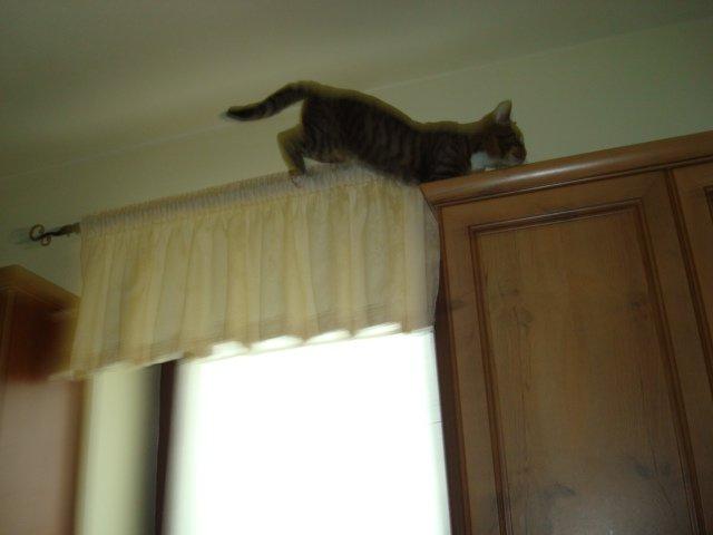 Mój zwierzyniec, zdjęcie 13