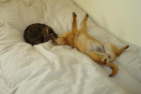 Mój zwierzyniec, zdjęcie 16