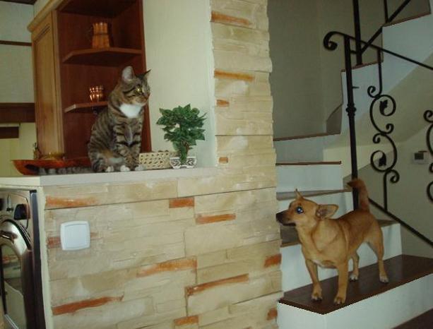 Mój zwierzyniec, zdjęcie 3