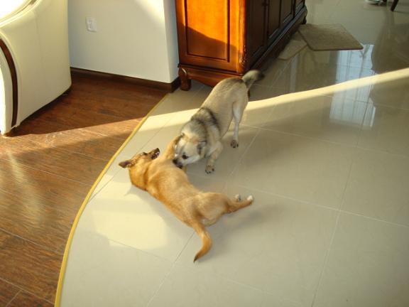 Mój zwierzyniec, zdjęcie 2