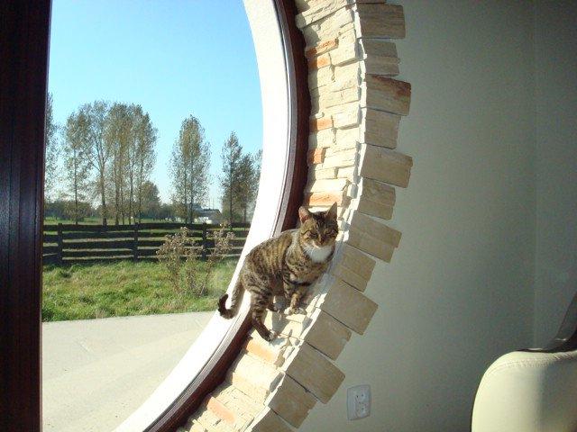 Mój zwierzyniec, zdjęcie 4