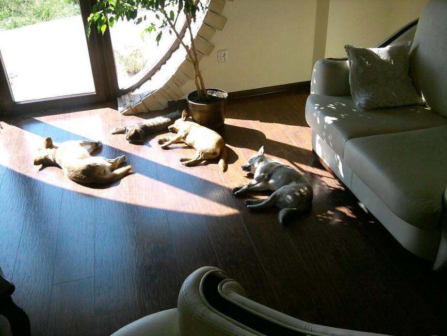 Mój zwierzyniec, zdjęcie 20