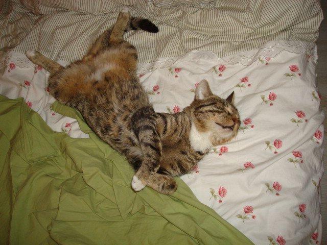 Mój zwierzyniec, zdjęcie 11