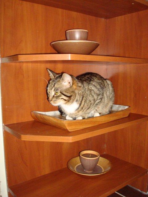 Mój zwierzyniec, zdjęcie 5