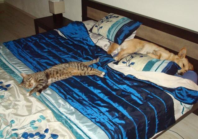 Mój zwierzyniec, zdjęcie 6