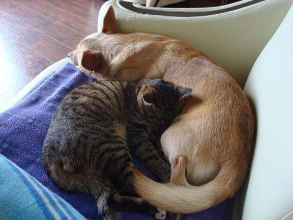 Mój zwierzyniec, zdjęcie 10