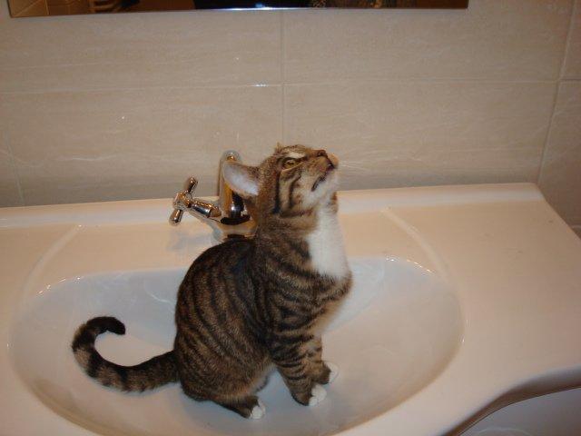 Mój zwierzyniec, zdjęcie 14