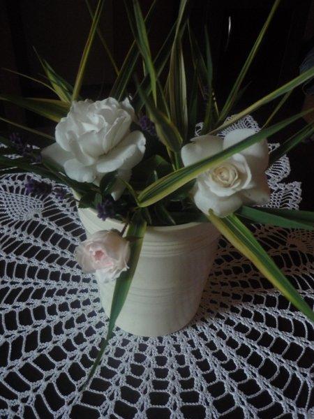 :) róże, zdjęcie 20