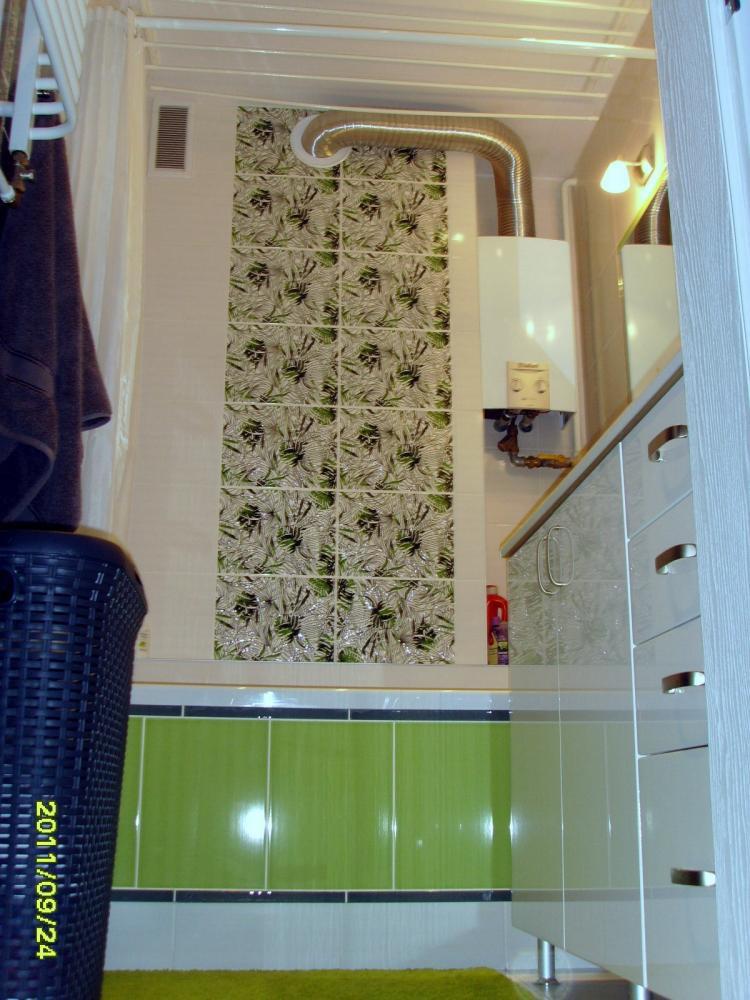 Hortensja Hibiskus, zdjęcie 4