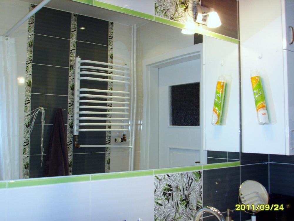 Hortensja Hibiskus, zdjęcie 2