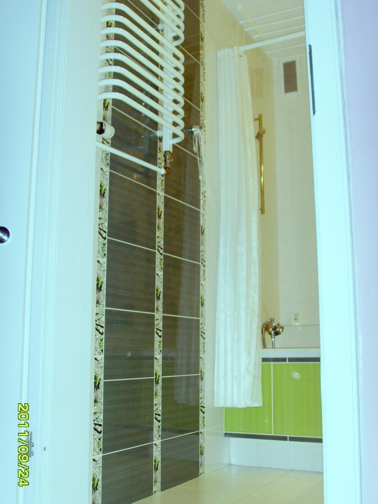 Hortensja Hibiskus, zdjęcie 3