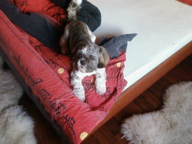 moj maxi, zdjęcie 5