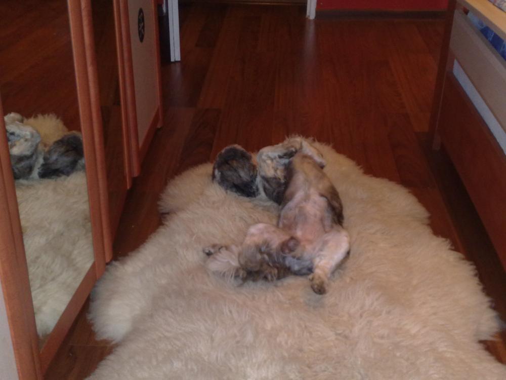 moj maxi, zdjęcie 3